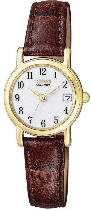 Citizen Watch Strap Eco Drive Ladies