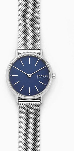 Skagen Watch Signatur Steel Mesh