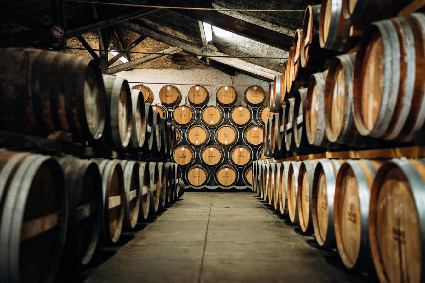 The cellars at Bache Gabrielson