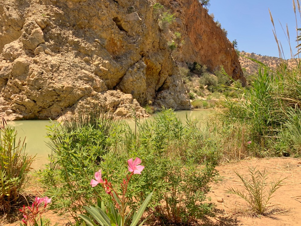 Secret Paradise Oasis Agadir