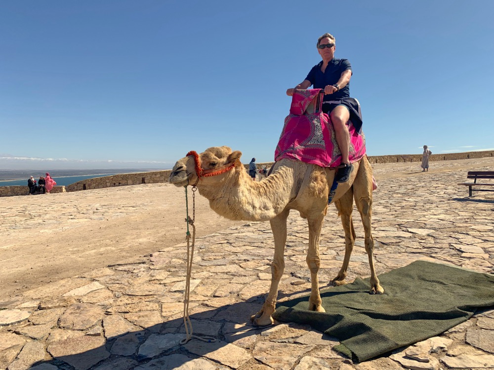 Yves on Berber Camel