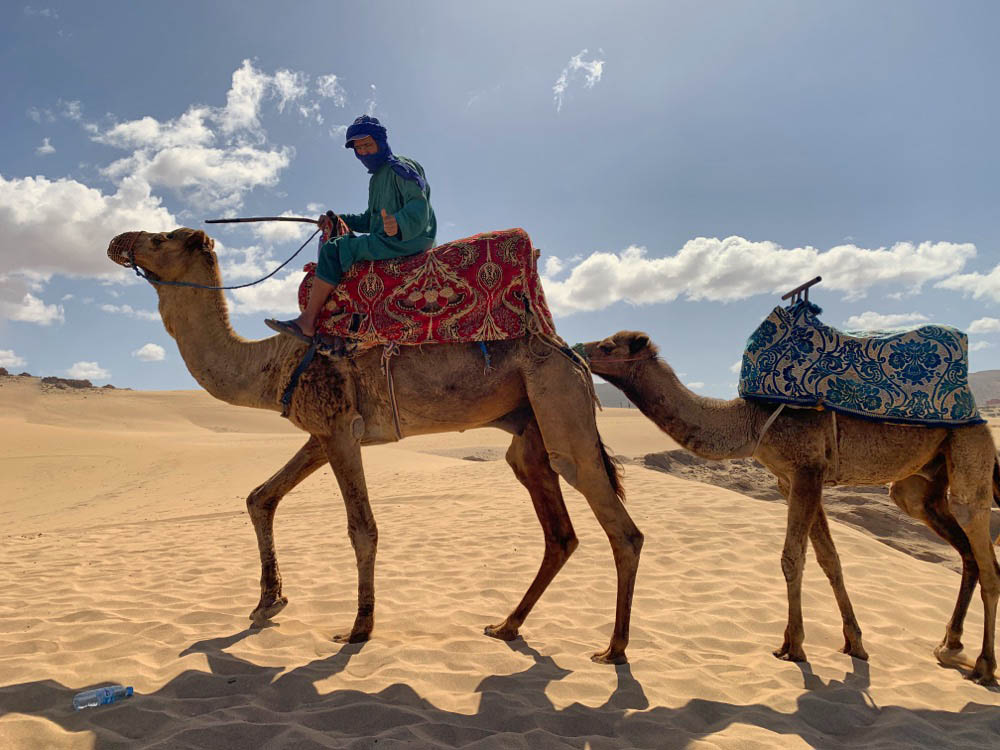 Berber Camel