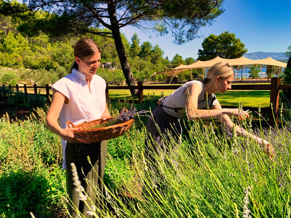 Maslina Organic Garden Tour & Garden Foraging