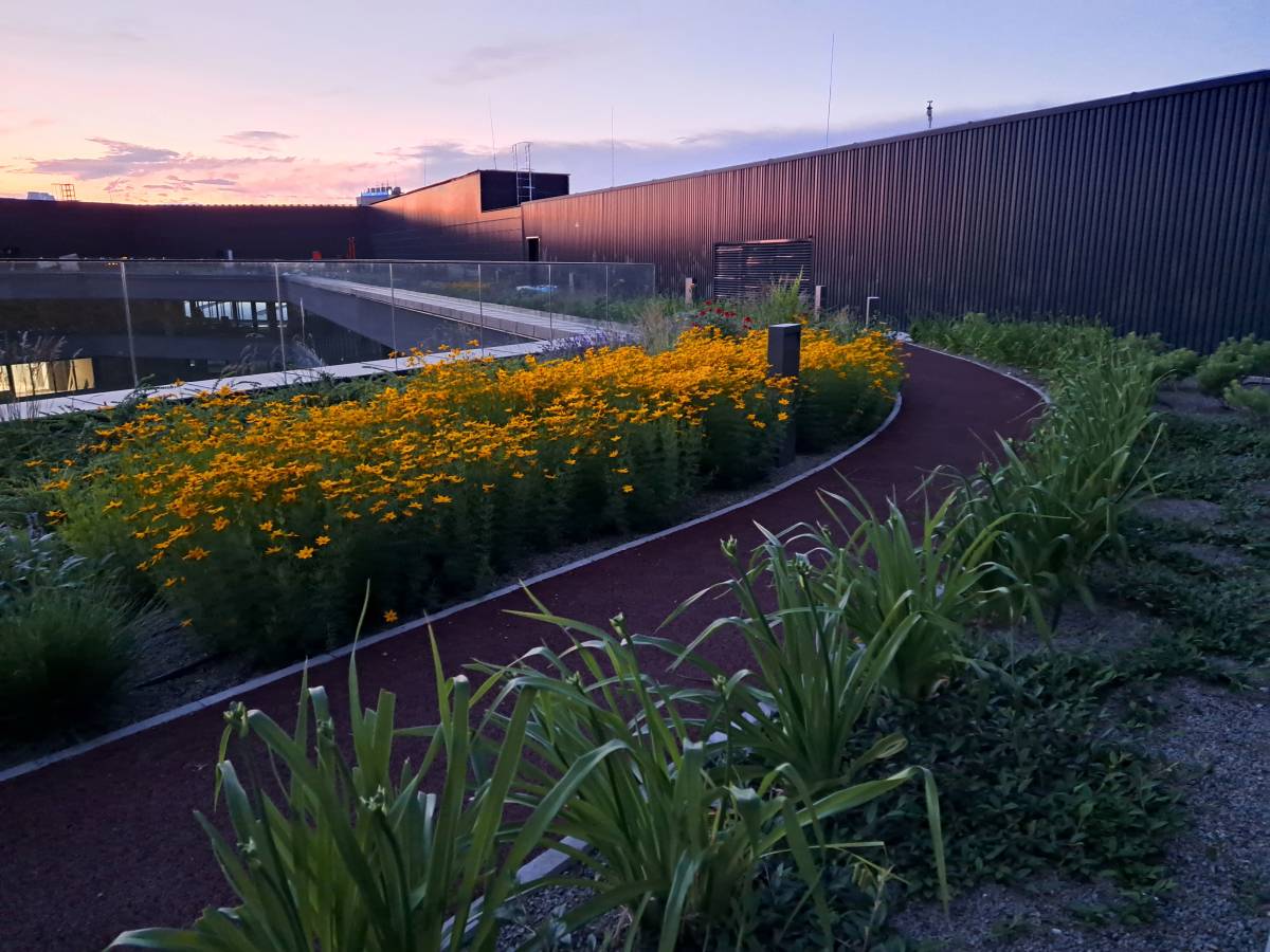 Rooftop Running Track