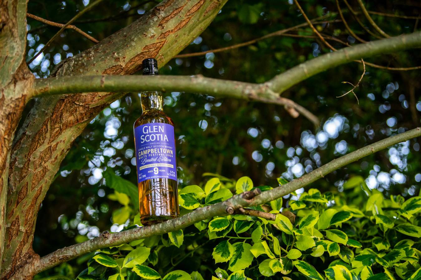 Glen Scotia