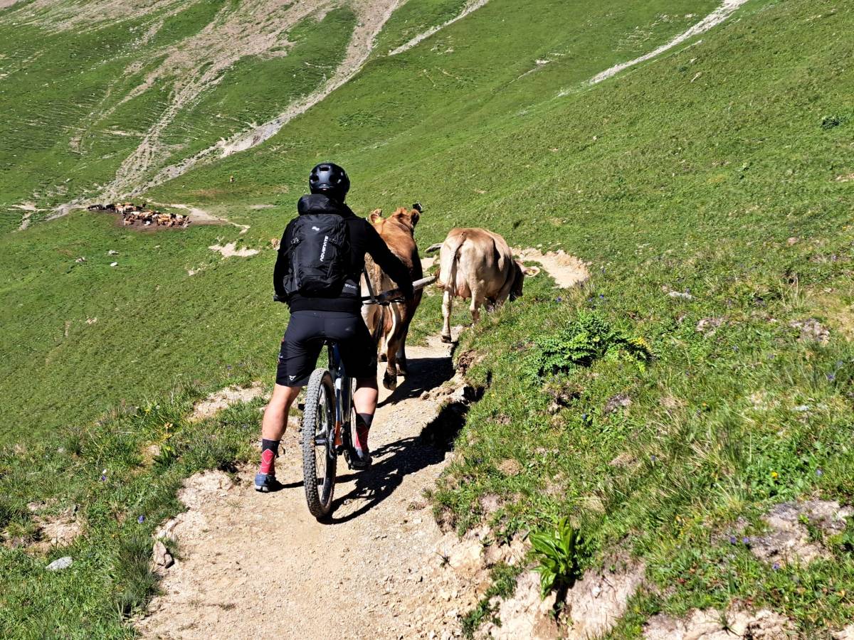 Mountain traffic