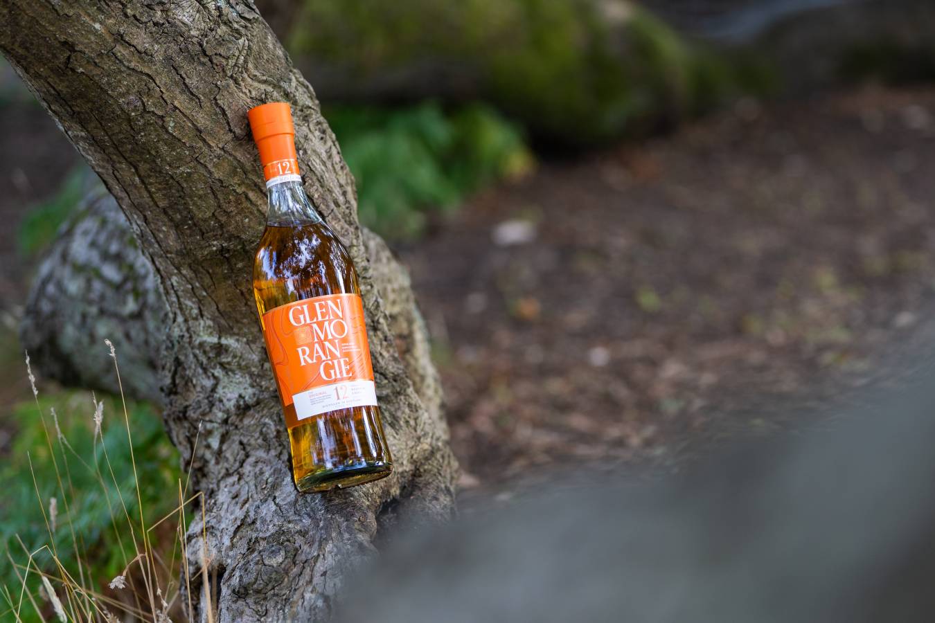 Glenmorangie 12