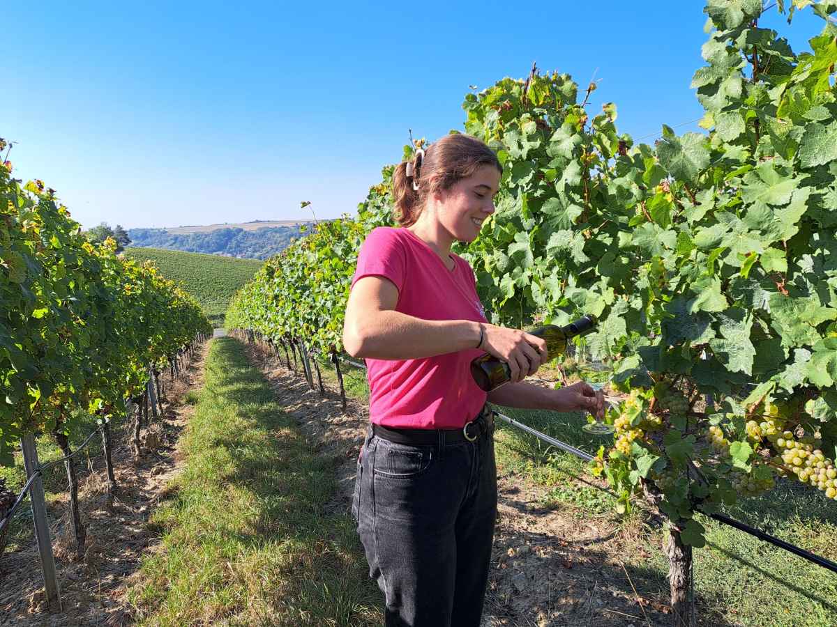 Steinmann's daughters wine estate