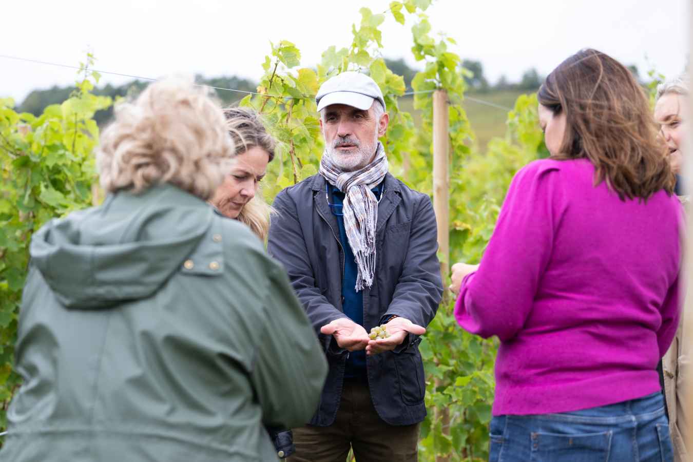 Michel in the vineyards