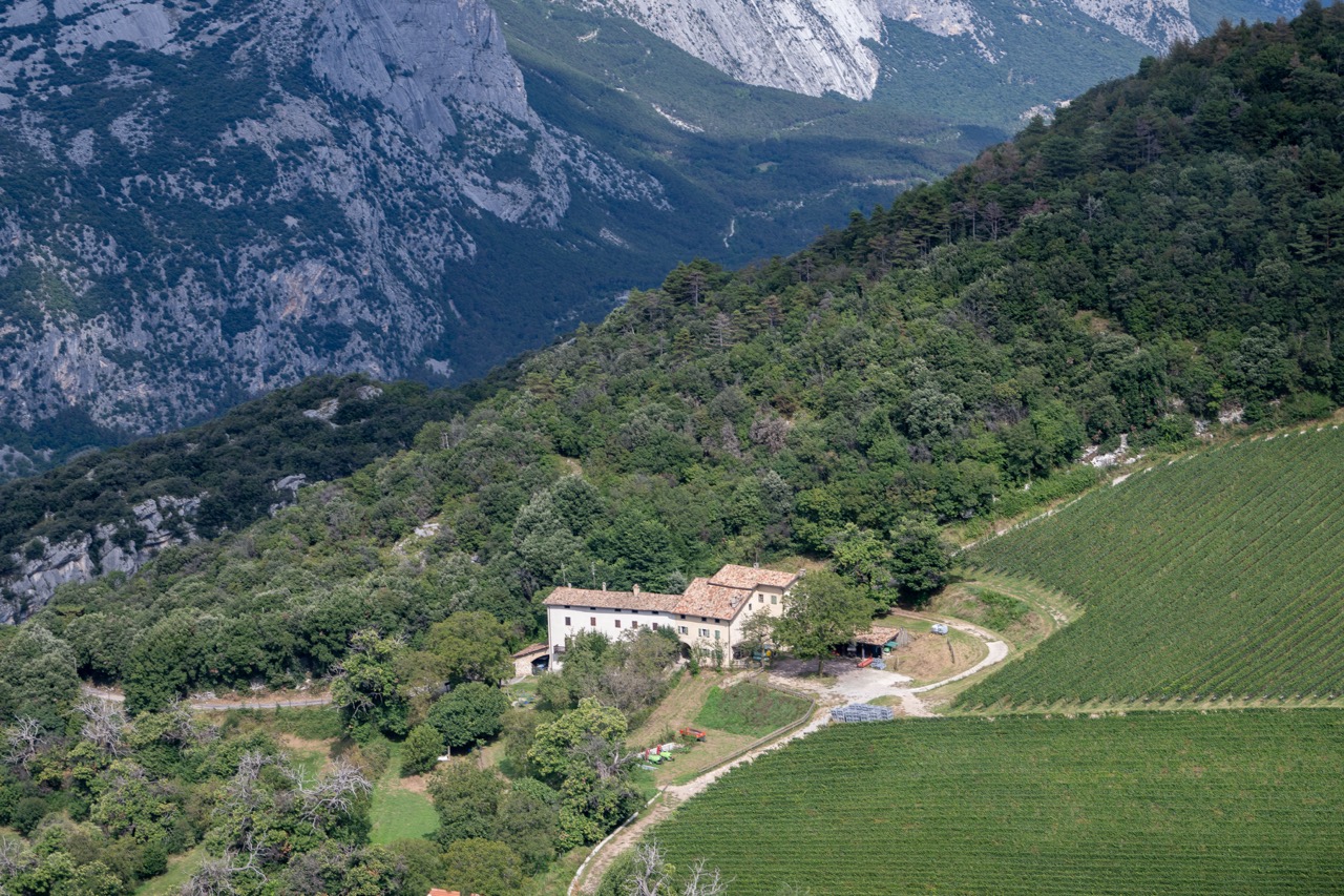 Villa Margon and vineyards from the air