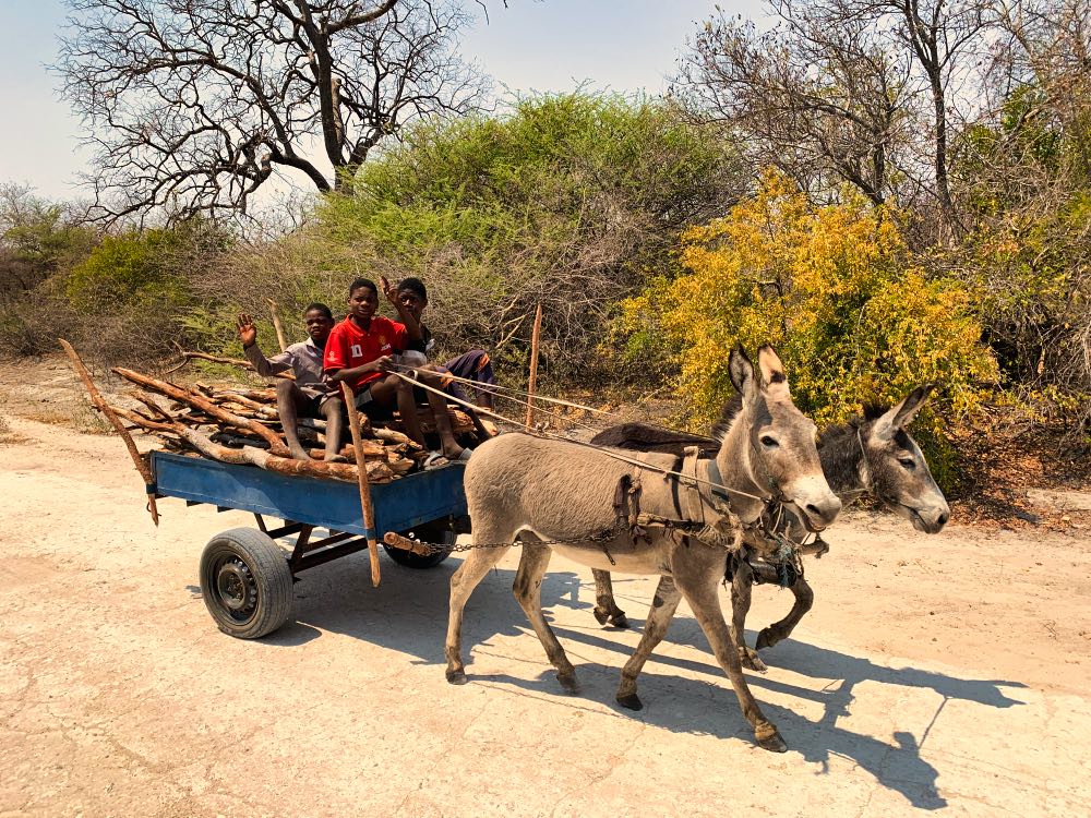 Botswana Kids