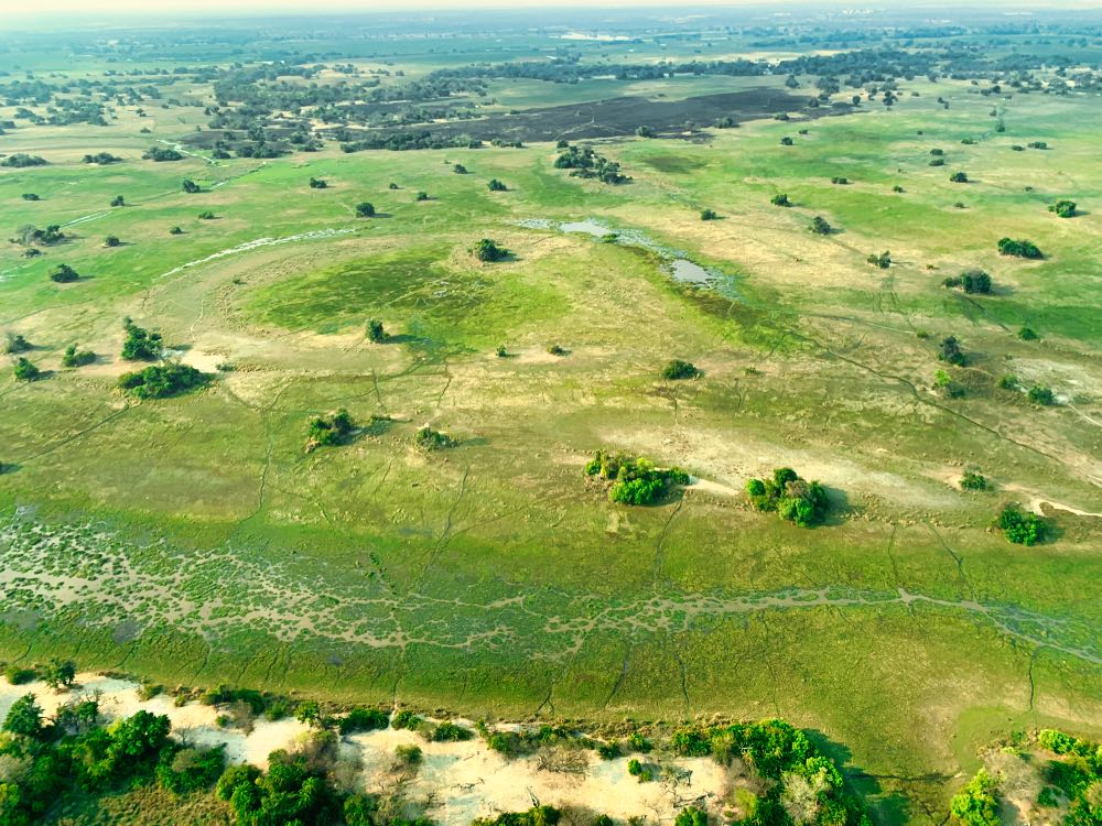 Nxamaseri Island Lodge On The Okavango Delta