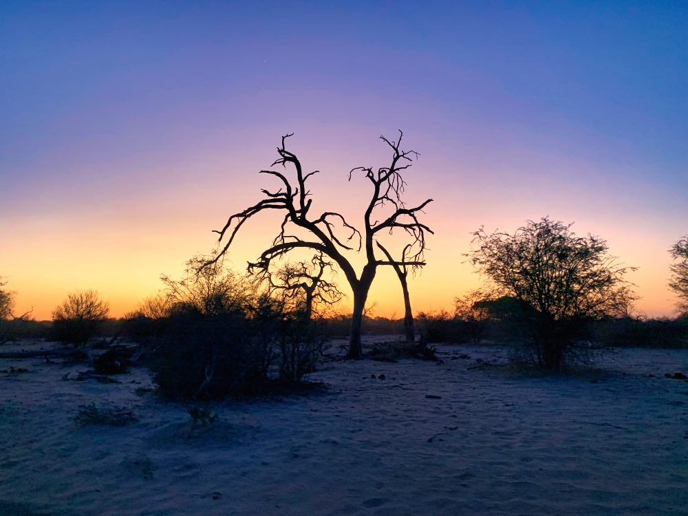 Makgadikgadi Pans National Park