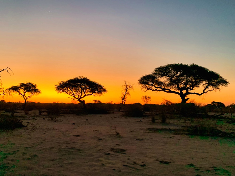 Makgadikgadi Pans National Park