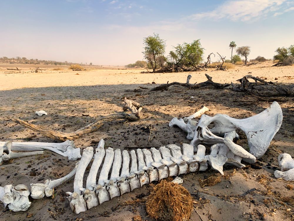 Makgadikgadi Pans National Park