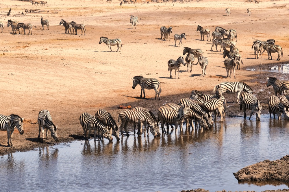 Leroo La Tau Lodge On The Makgadikgadi Pans National Park