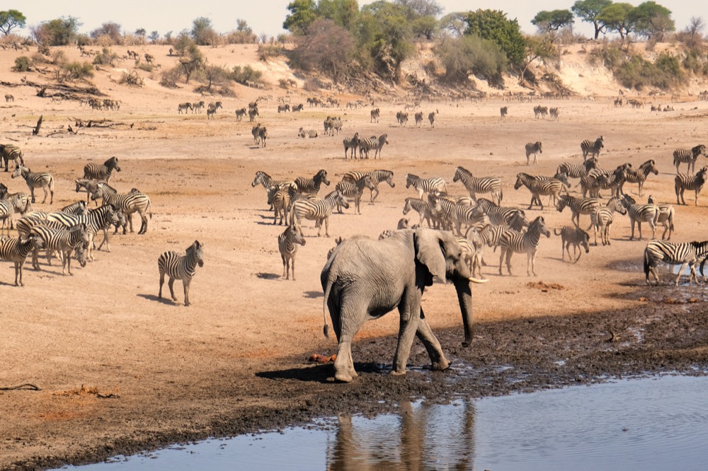 Leroo La Tau Lodge On The Makgadikgadi Pans National Park