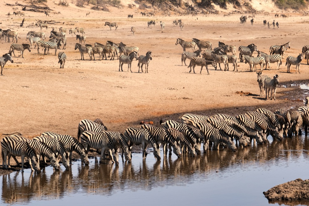 Leroo La Tau Lodge On The Makgadikgadi Pans National Park