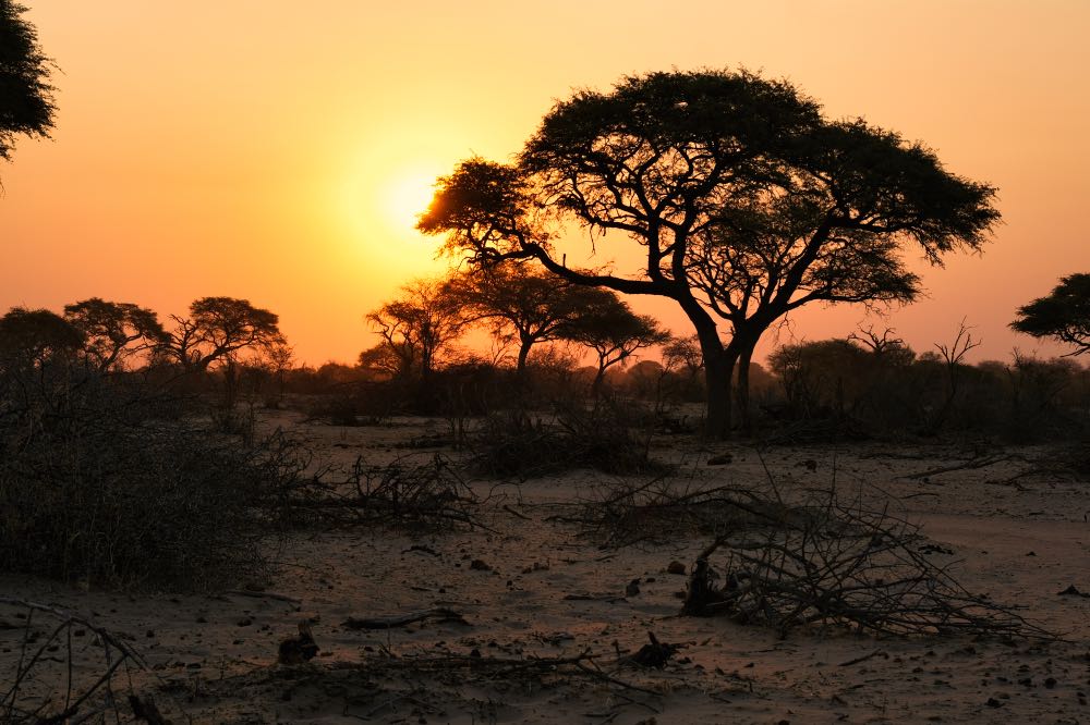 Makgadikgadi Pans National Park