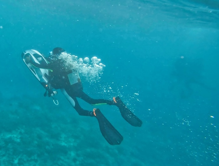 AquaDart Nano Mauritius