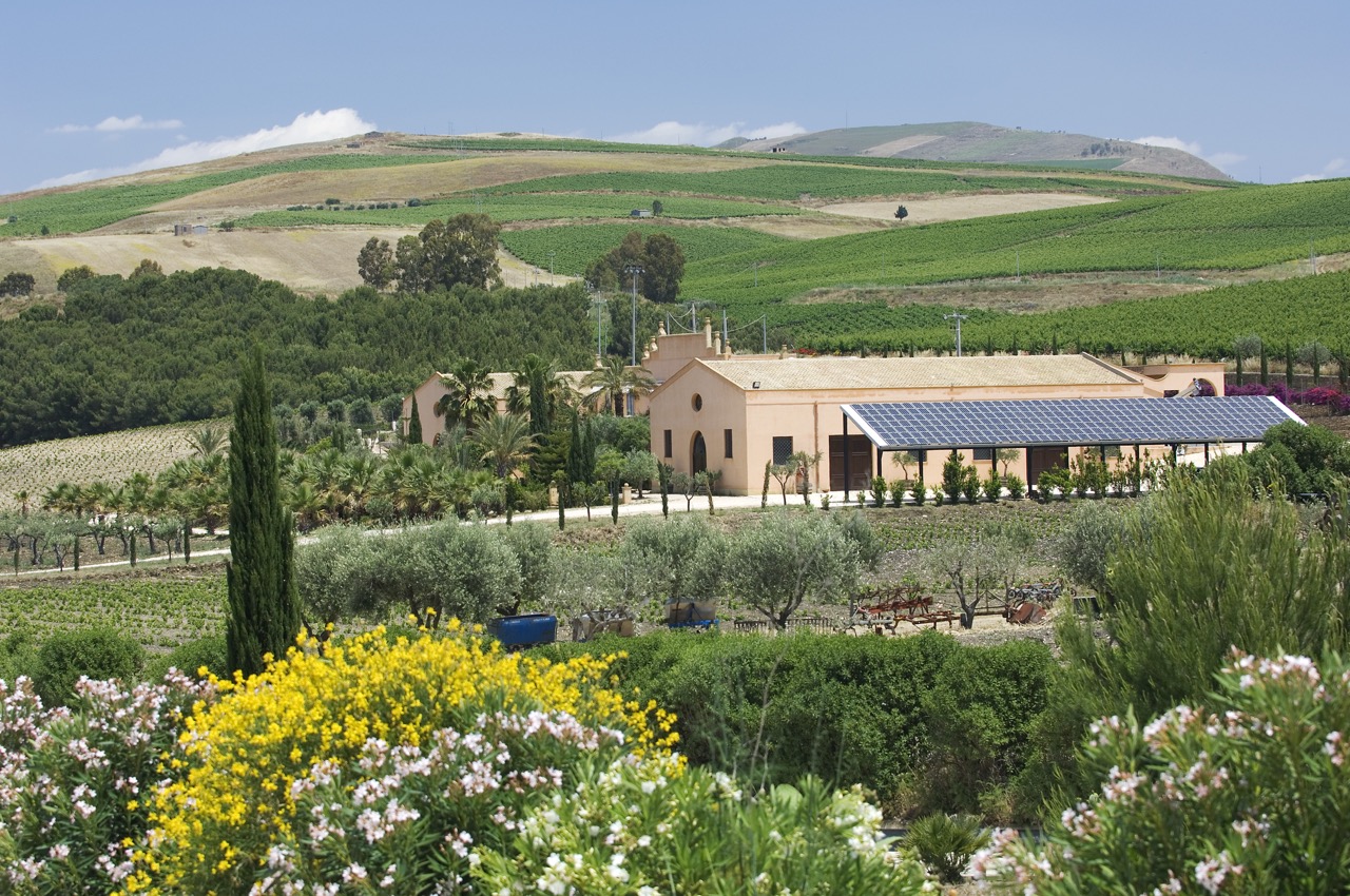 The winery