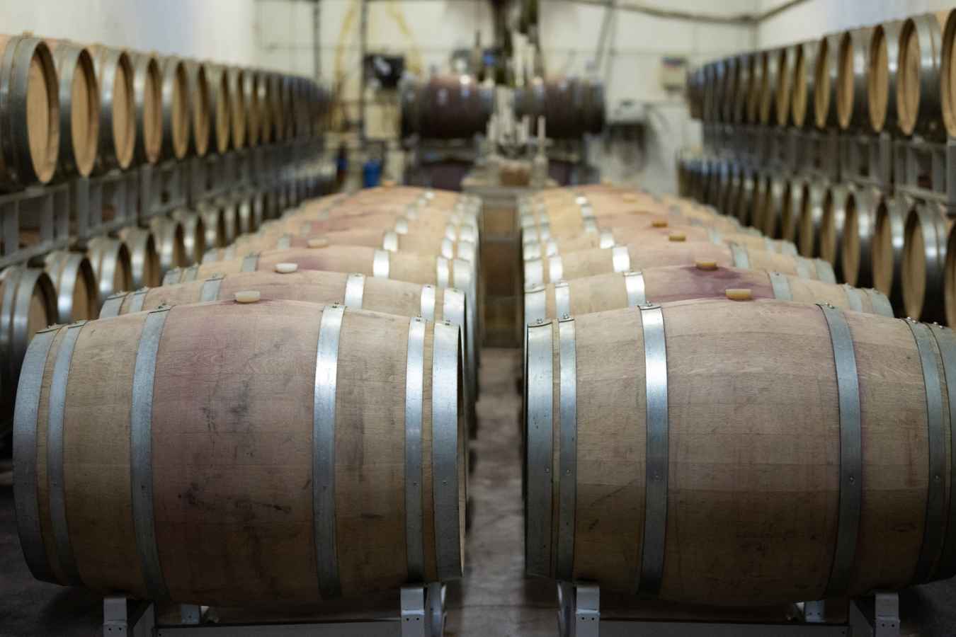The barrel room