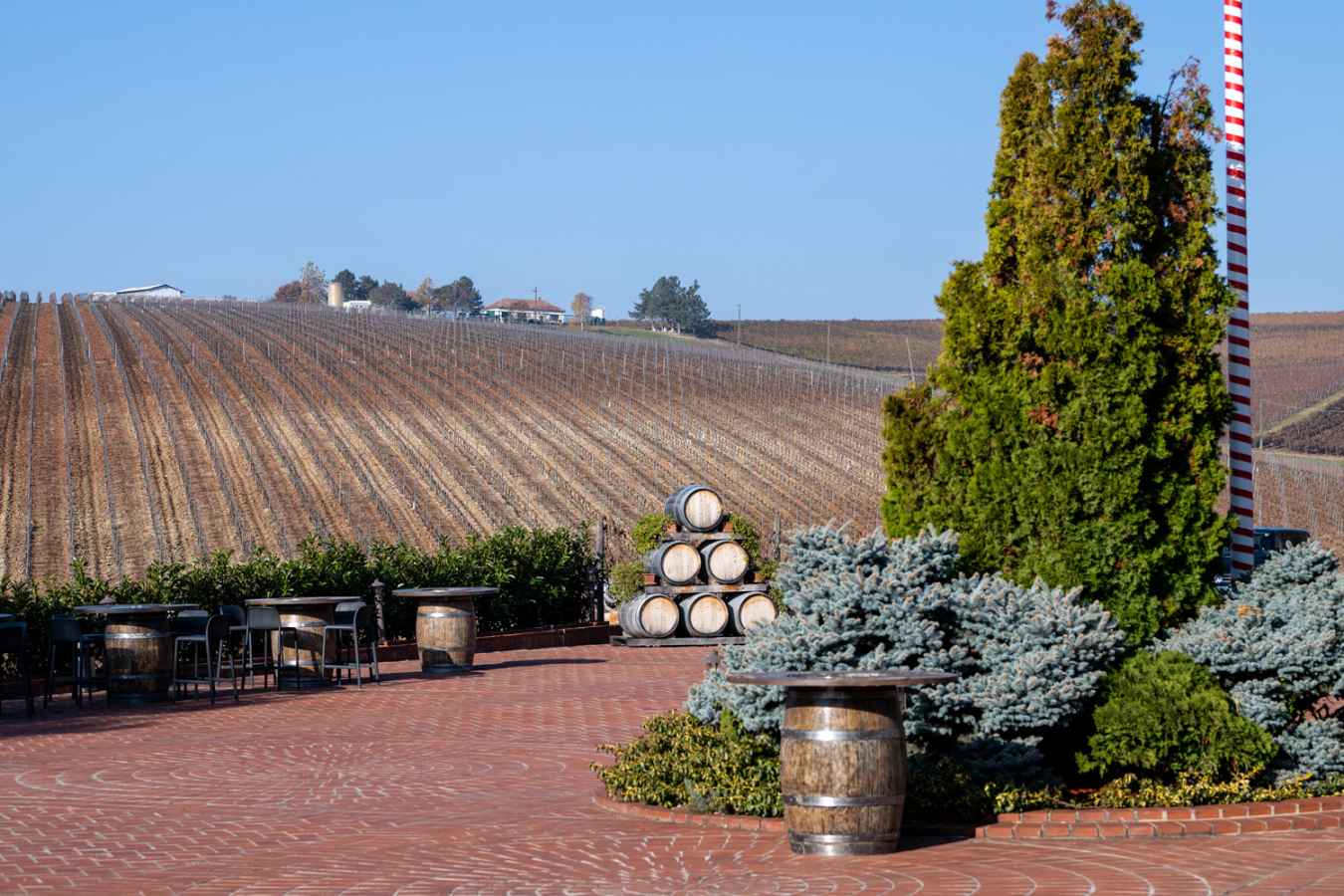 Views from the winery