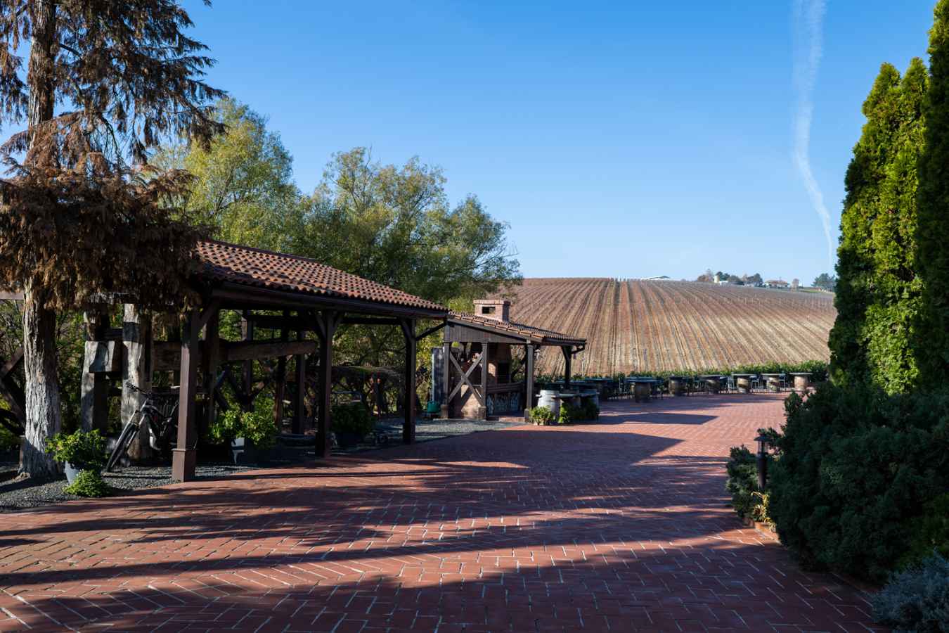 The courtyard