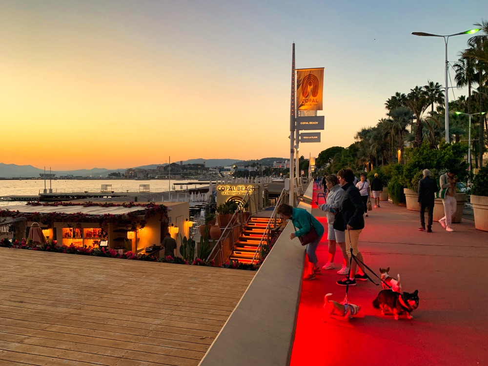 Hôtel Barrière Le Majestic Cannes