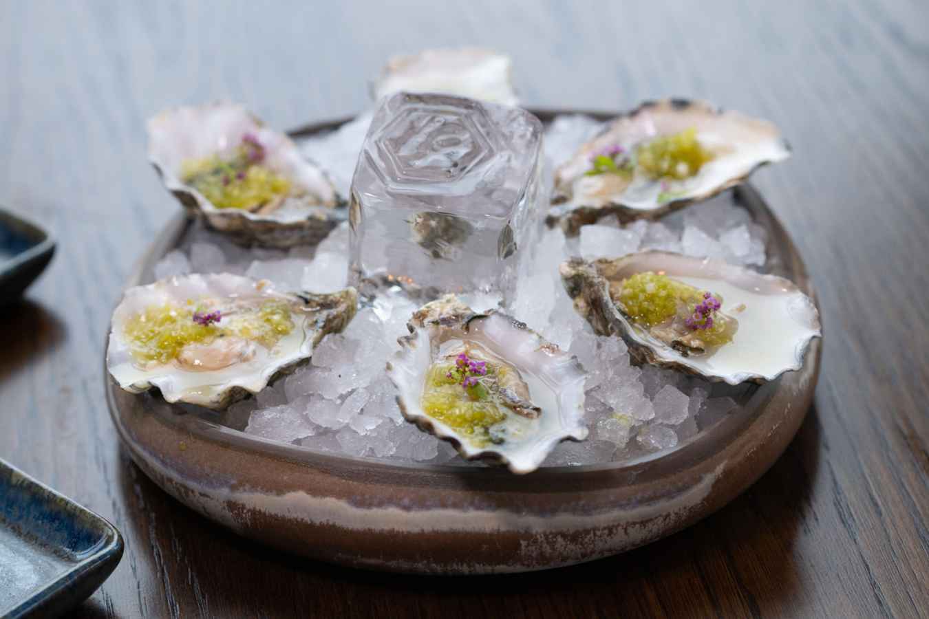 The oysters