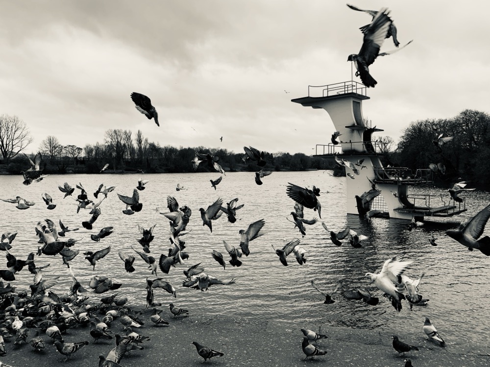 Lake Norwich