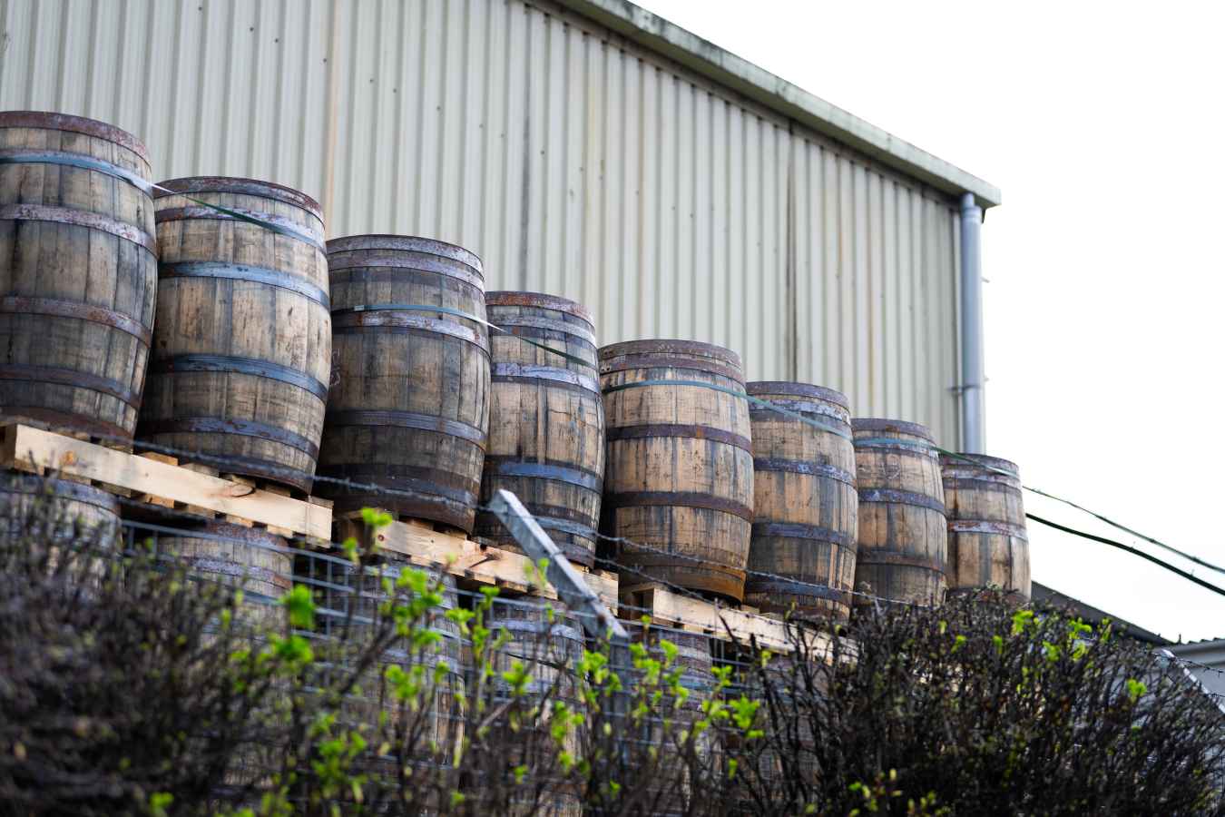 Barrels outside the distillery