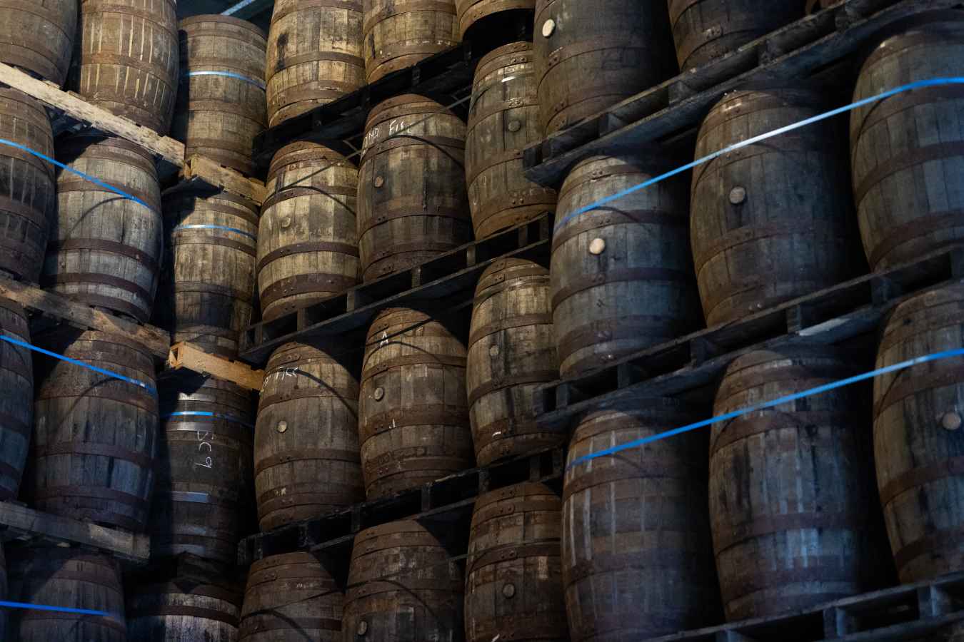 Inside one of the barrel warehouses
