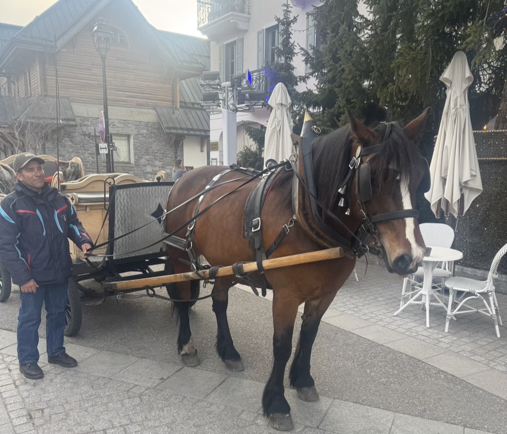 Best Guide to Megève