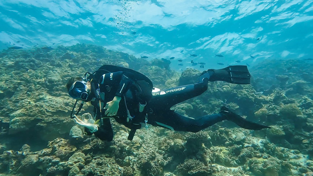 TGI Diving Cora Cora Maldives