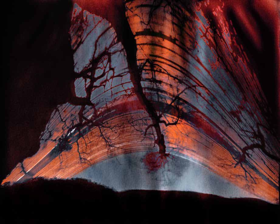 Solargraphs Chateau Miraval