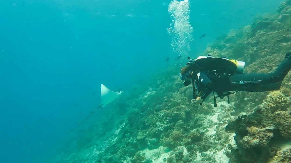 TGI Diving Cora Cora Maldives