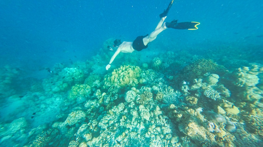TGI Diving Cora Cora Maldives