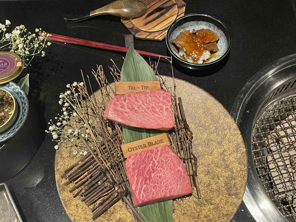 Kanpai Classic