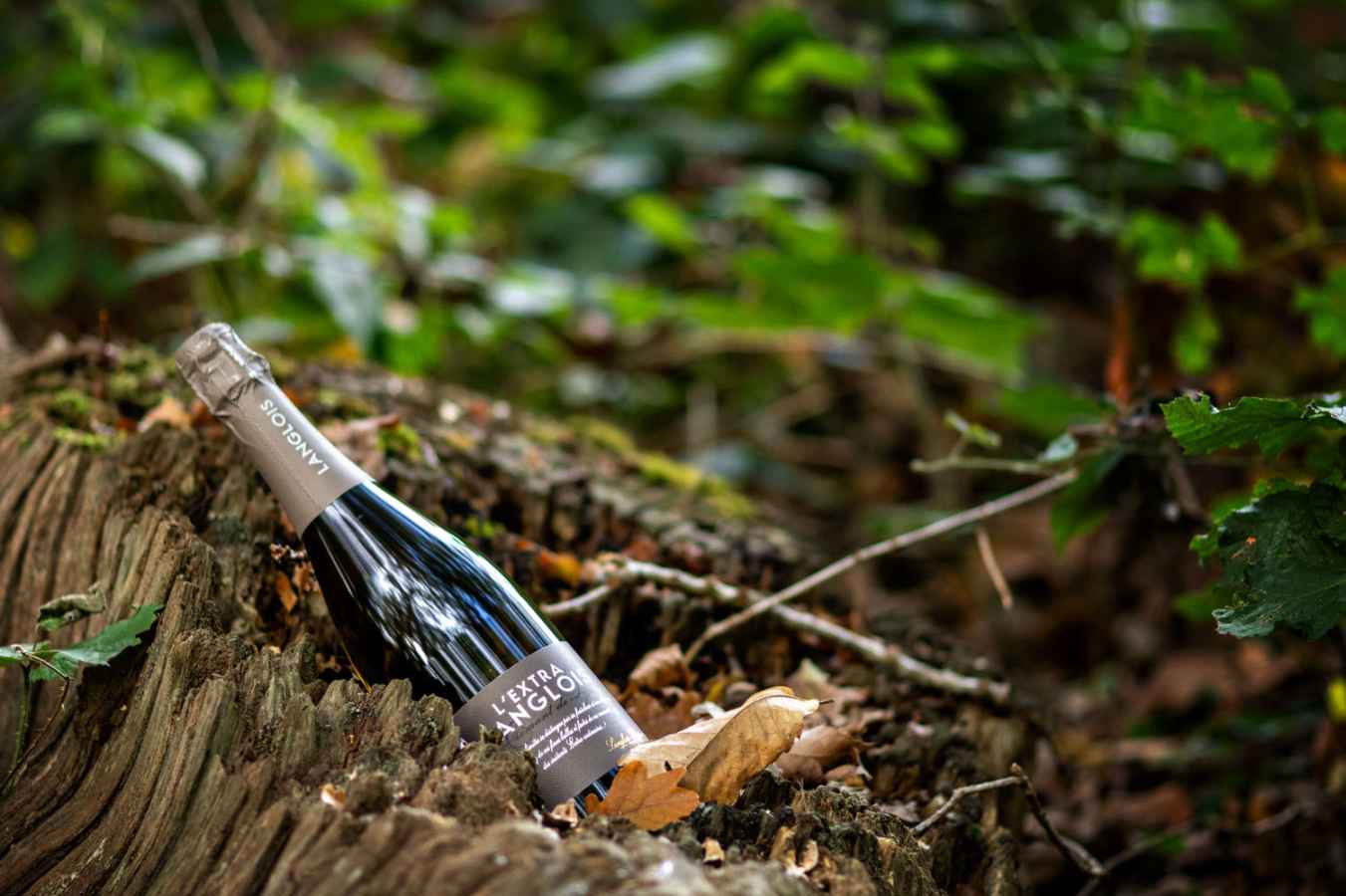 Extra par Langlois' Crémant de Loire Extra par Langlois' Crémant de Loire