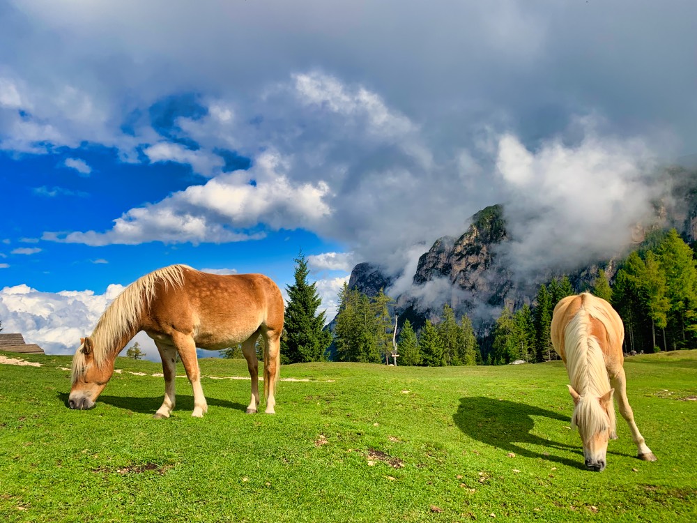 Cyprianerhof Dolomites Hotel Review Cyprianerhof Dolomites Hotel Review
