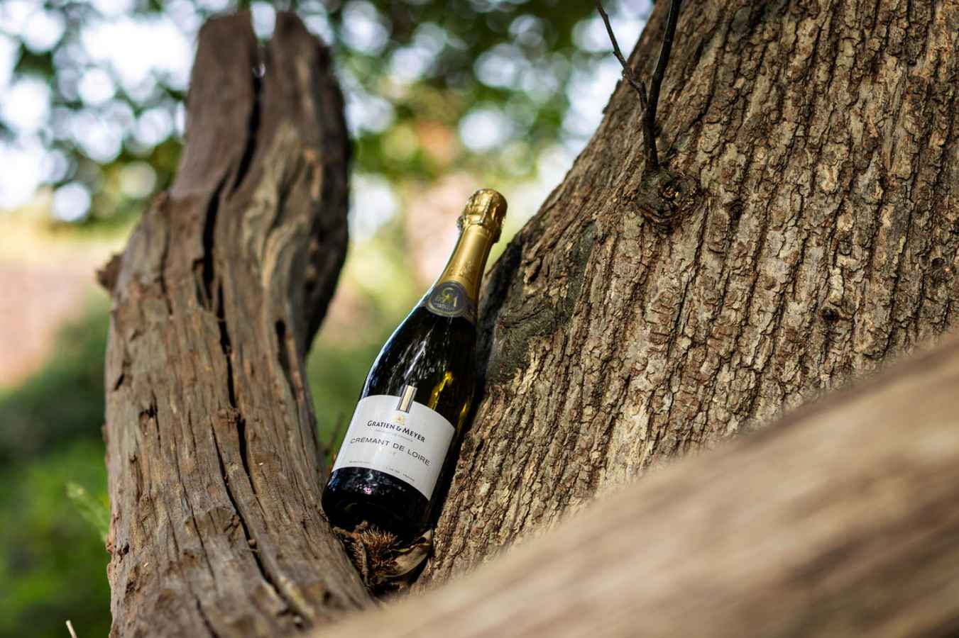 Gratien & Meyer Cremant De Loire Gratien & Meyer Cremant De Loire