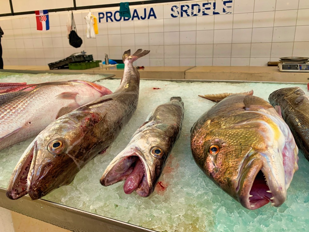 Fish Market Split