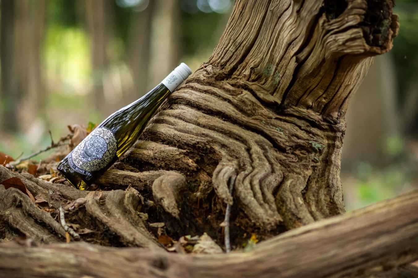 Von Buhl Bone Dry Riesling 2024 Von Buhl Bone Dry Riesling 2024