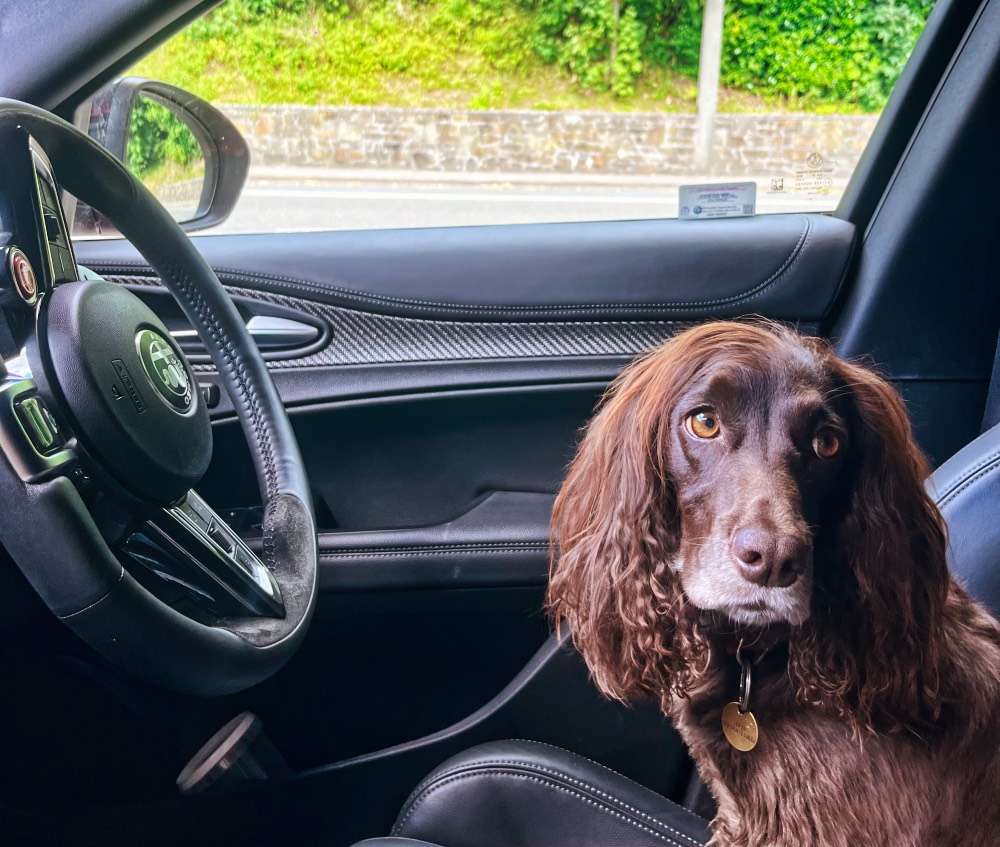 Alfa Romeo Stelvio Quadrifoglio 2025 Review