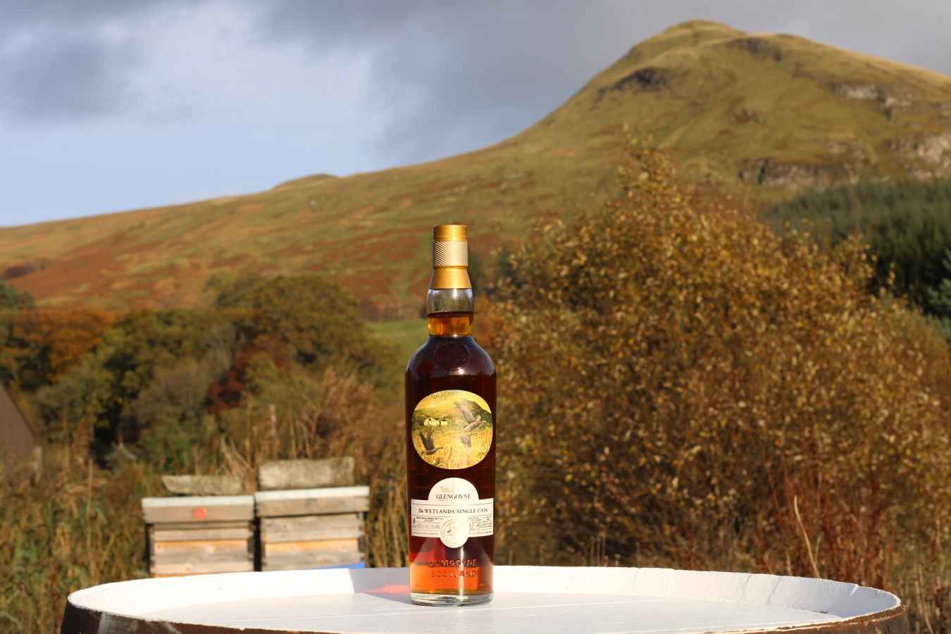 Glengoyne