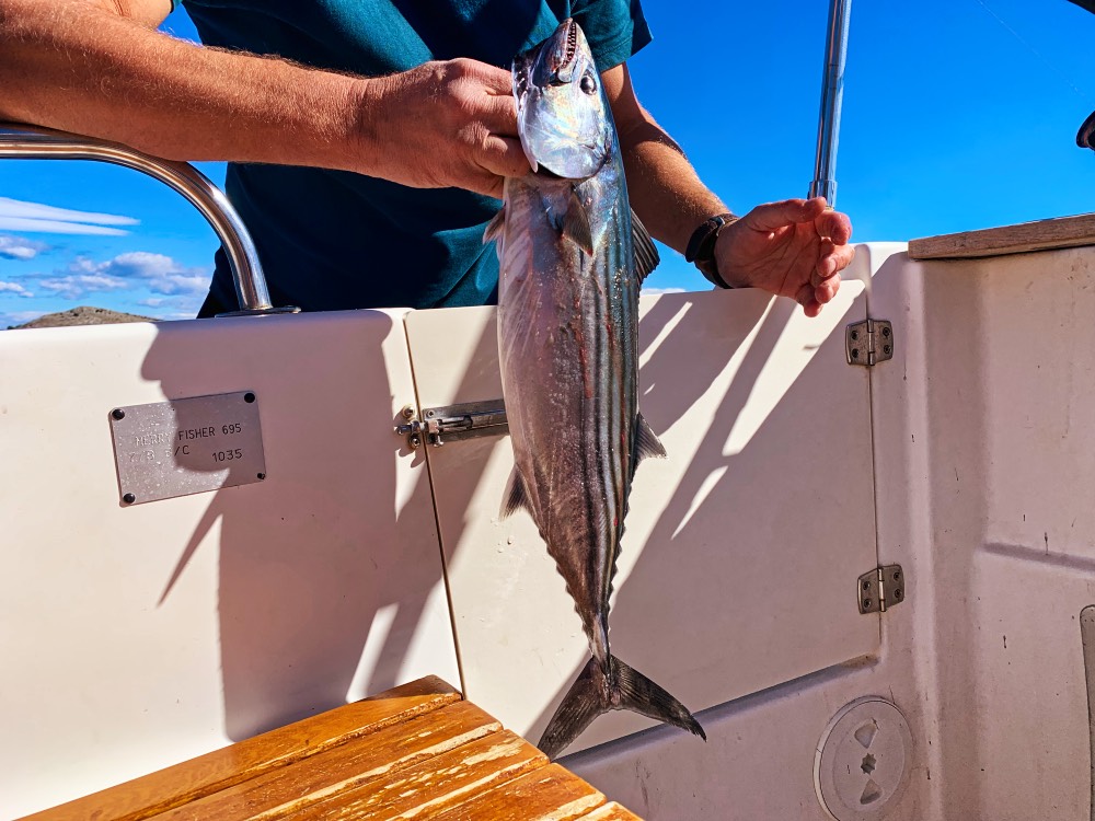 Villa Nai 3.3 Croatia