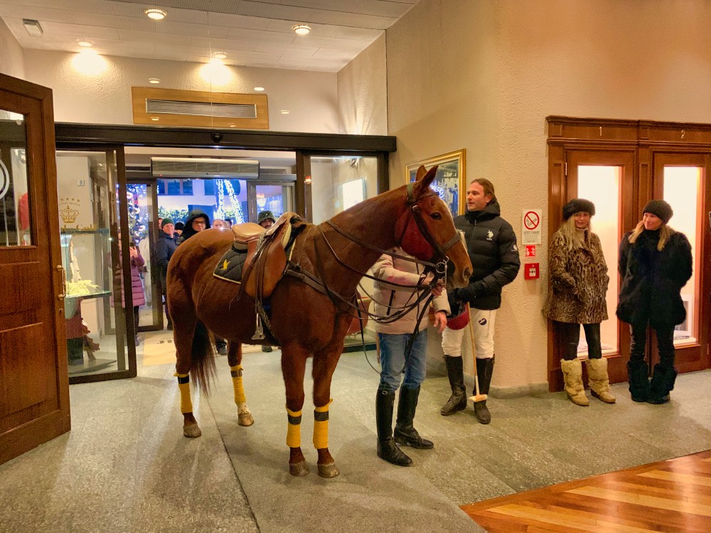 Courmayeur | Mont Blanc | Polo