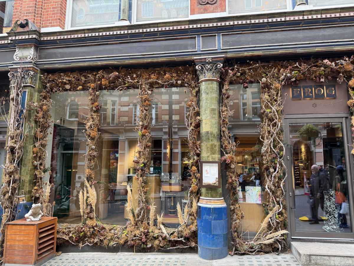 Frog by Adam Handling