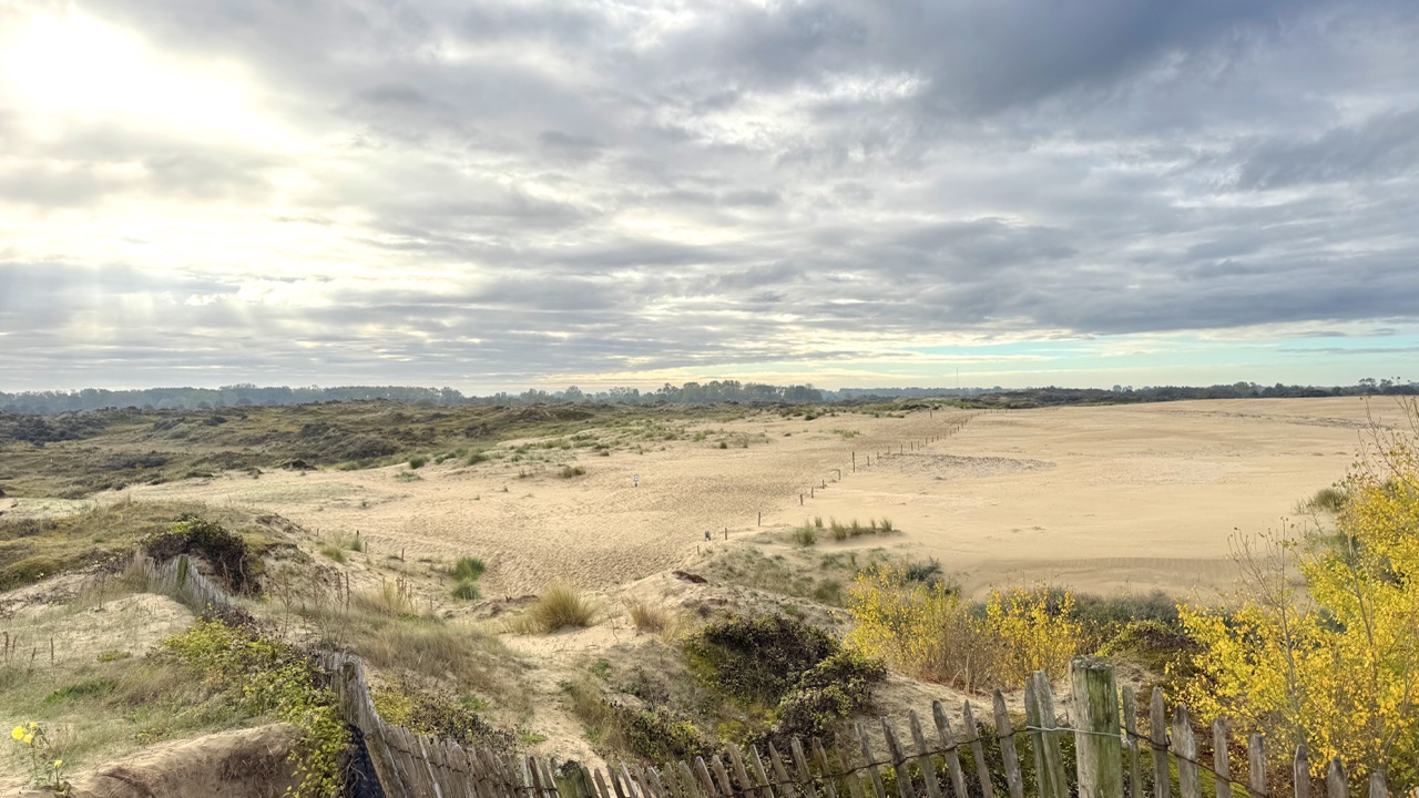 Westhoek Nature Reserve
